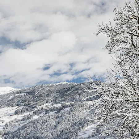 Tirol Haus Zillertal * ツェル・アム・ツィラー